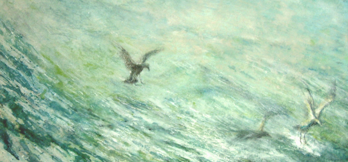 松島海鳥の図